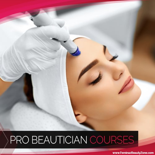 Professional Makeup Courses Fees